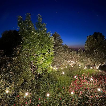 Glamping San Bart Hotel San Vincenzo Kültér fotó