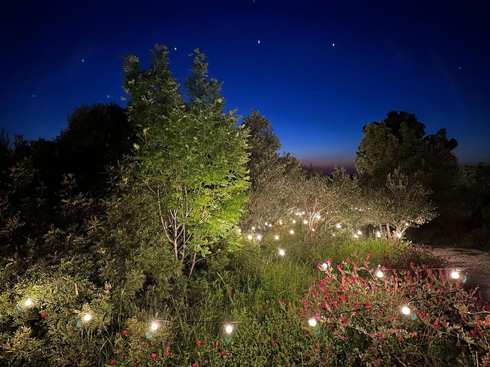 Glamping San Bart Hotel San Vincenzo Kültér fotó